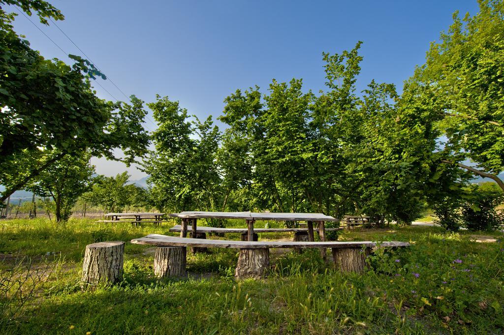 Tenuta Ippocrate Montefredane Bagian luar foto